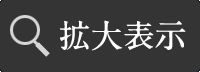 拡大表示